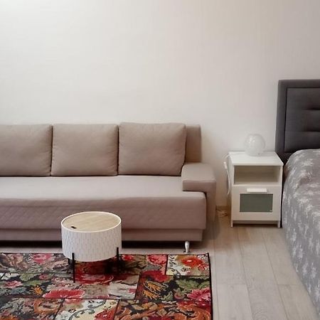 Piata Muzeului 1 Apartment Cluj-Napoca Ngoại thất bức ảnh