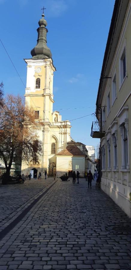 Piata Muzeului 1 Apartment Cluj-Napoca Ngoại thất bức ảnh