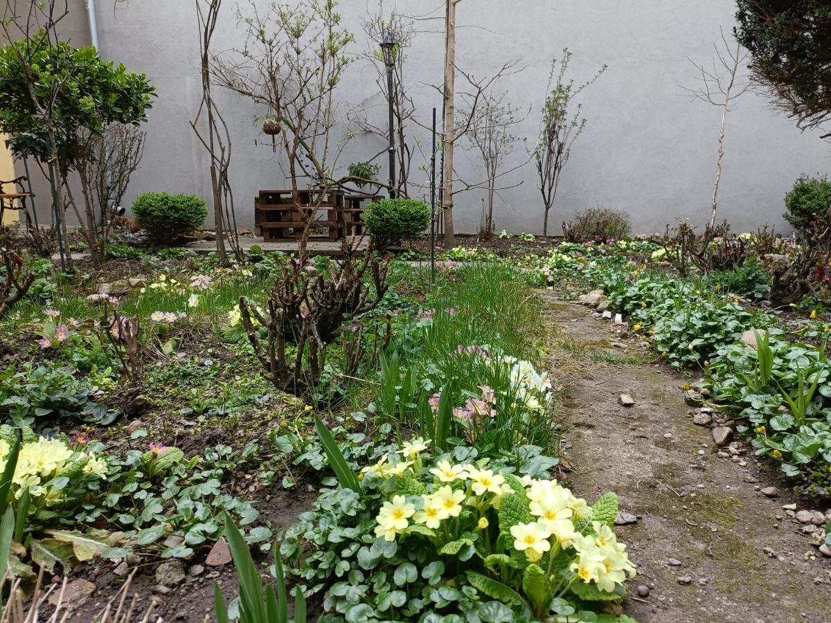 Piata Muzeului 1 Apartment Cluj-Napoca Ngoại thất bức ảnh